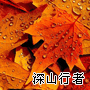 流月棲鳳